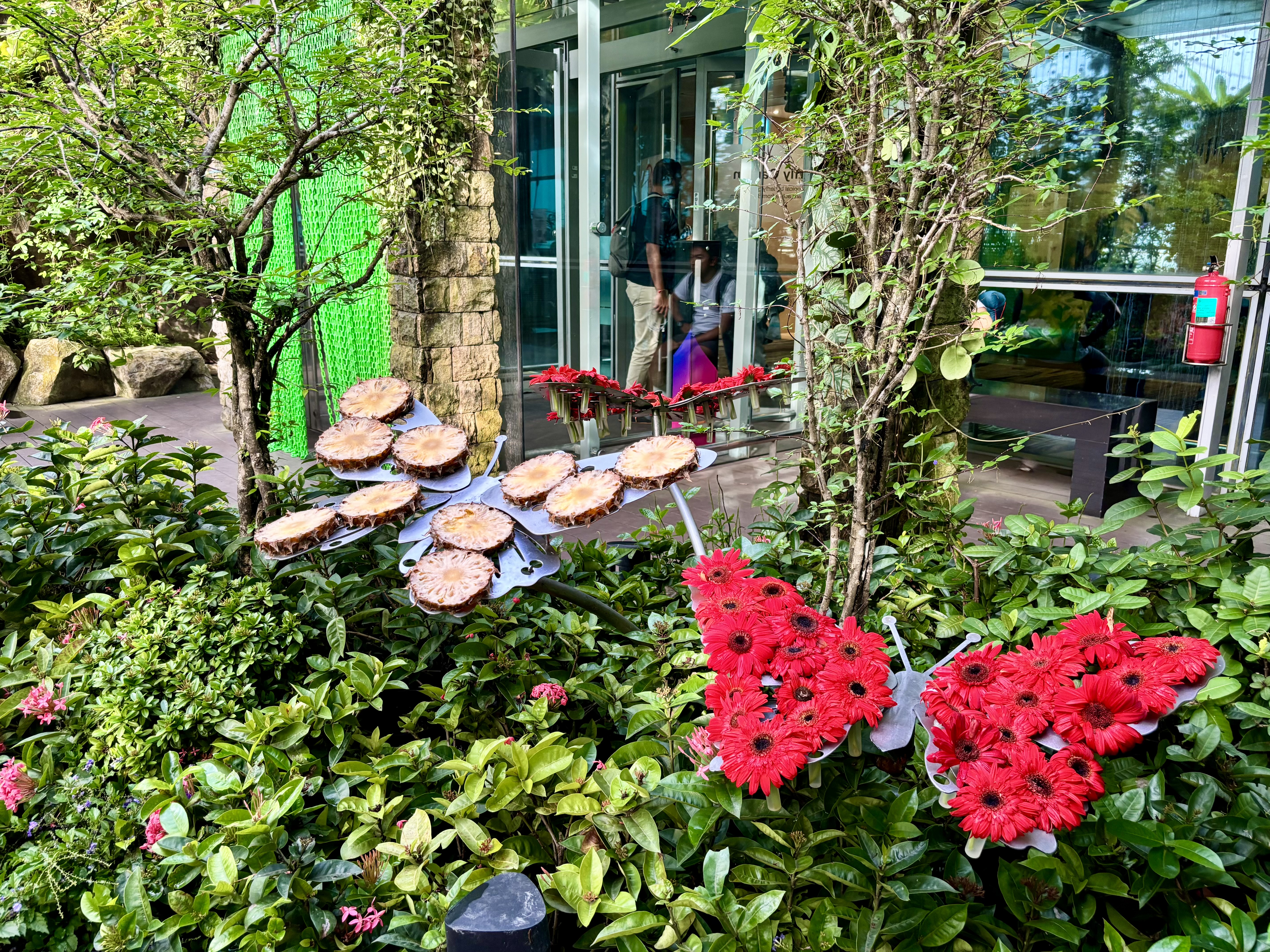 Hogar de más de 1000 mariposas, el Jardín de Mariposas en la Terminal 3 del Changi, es el primero de su tipo en un aeropuerto y cuenta con una cascada en una gruta de 6 metros de altura.