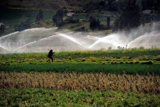 Gobierno se compromete a aumentar en un millón el número de nuevas hectáreas
