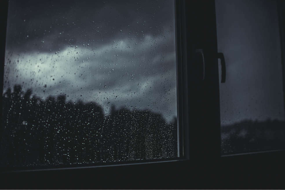 Rumores de otras noches (Cuentos de sábado en la tarde)