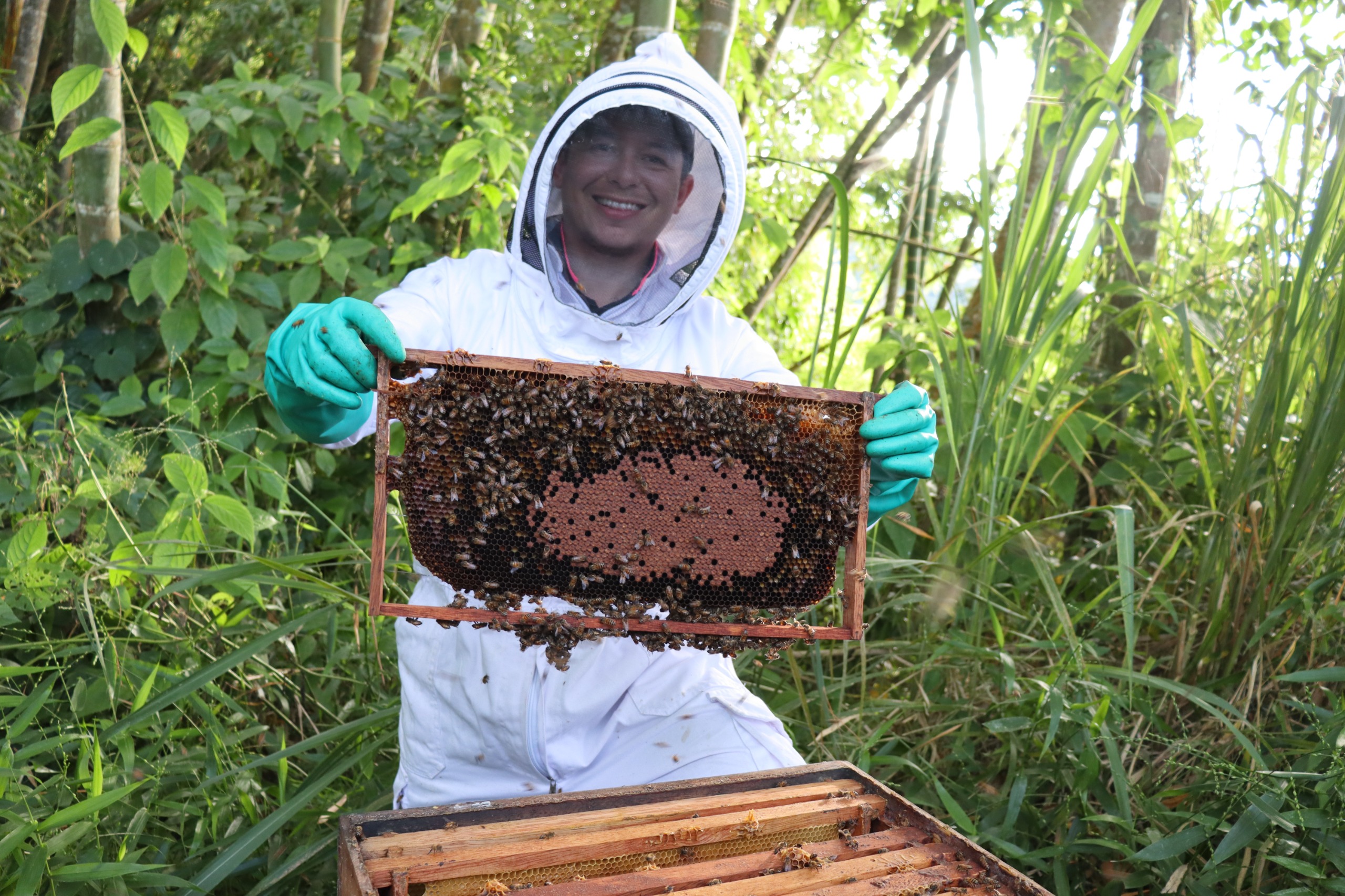 El emprendedor que se dedica a la conservación de las abejas en Colombia