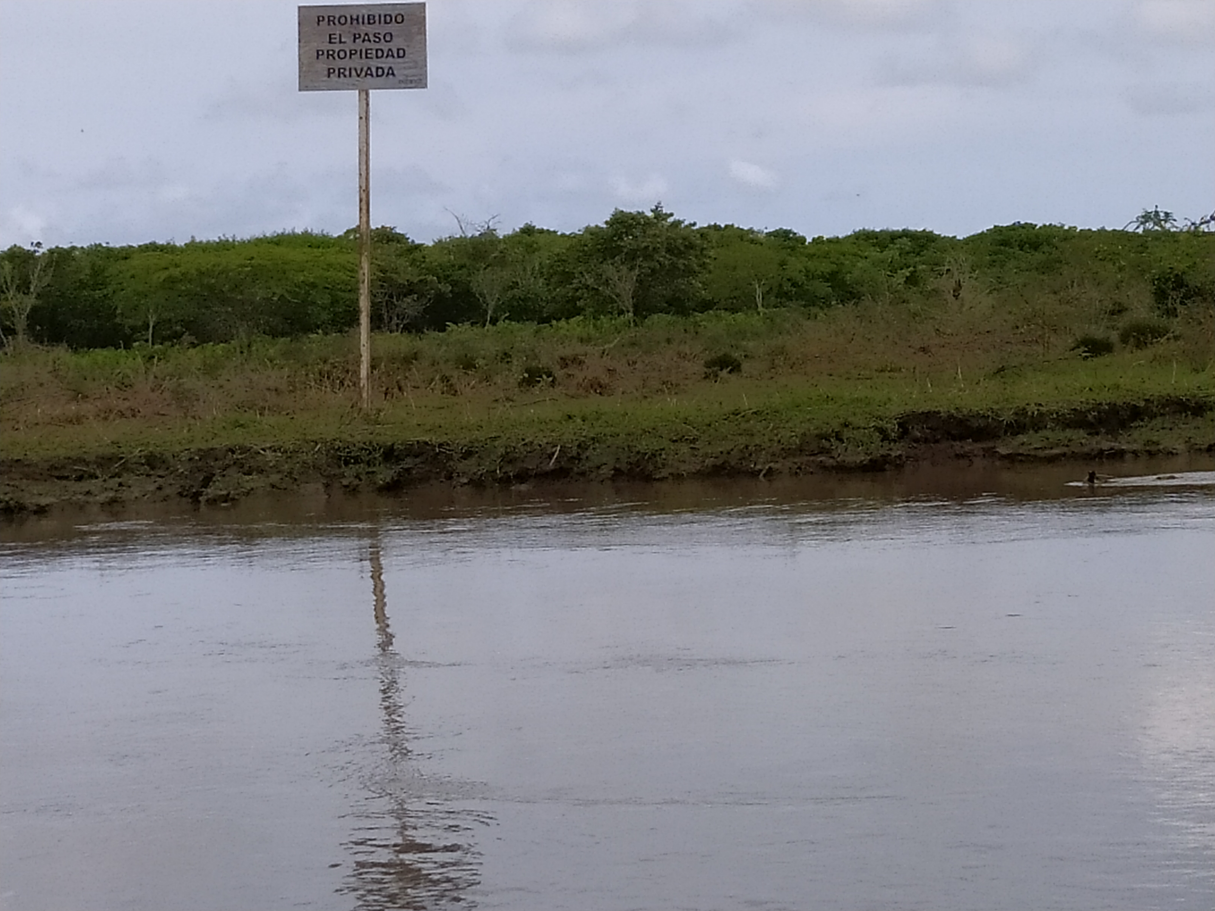 Ciénagas, camarones y paramilitares  en el canal del Dique