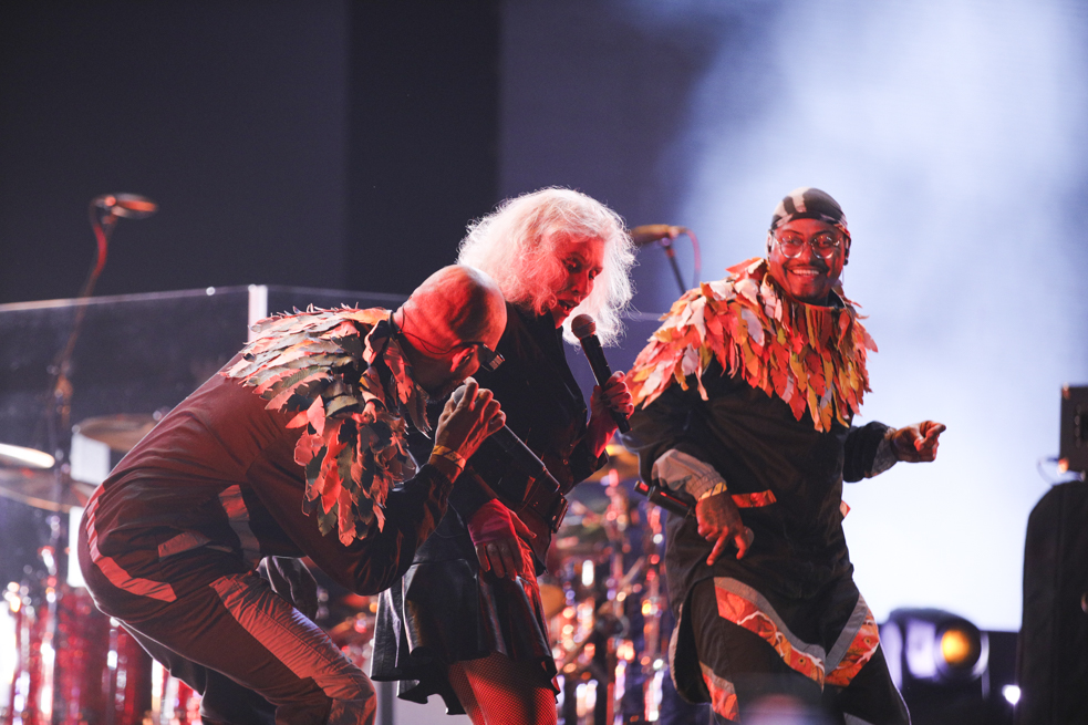 Blondie Y Sistema Solar