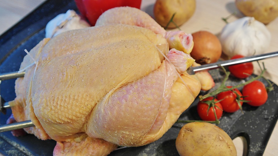 El pollo de la actualidad, símbolo del impacto en la naturaleza