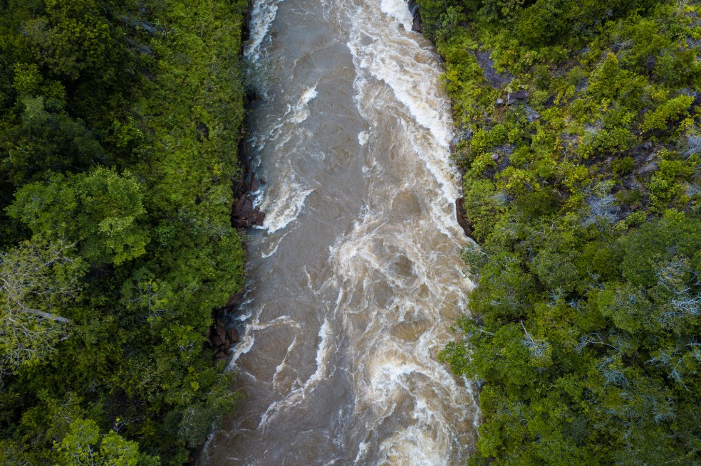 Los territorios de estos pueblos ancestrales abarcan 27.63% de la Amazonia. De hecho, el 83.7% de la región amazónica venezolana es territorio indígena.