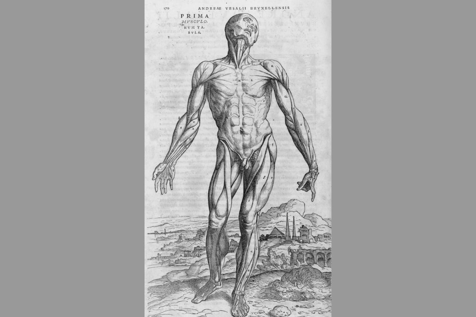 Andrés Vesalio, "De humani corporis fabrica", 1543.