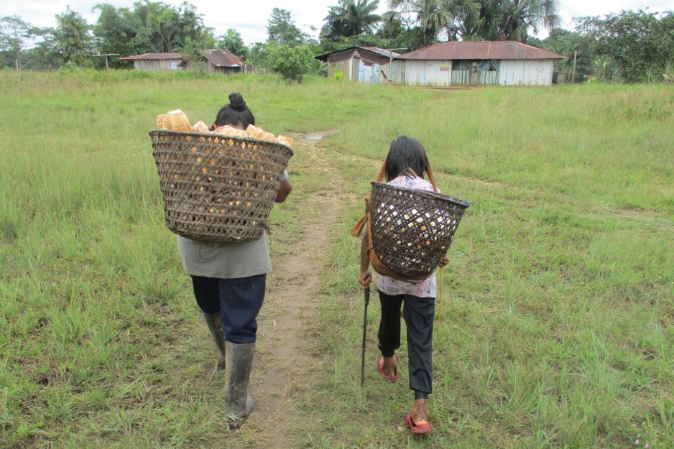 La historia del nuevo resguardo indígena de la Amazonia colombiana