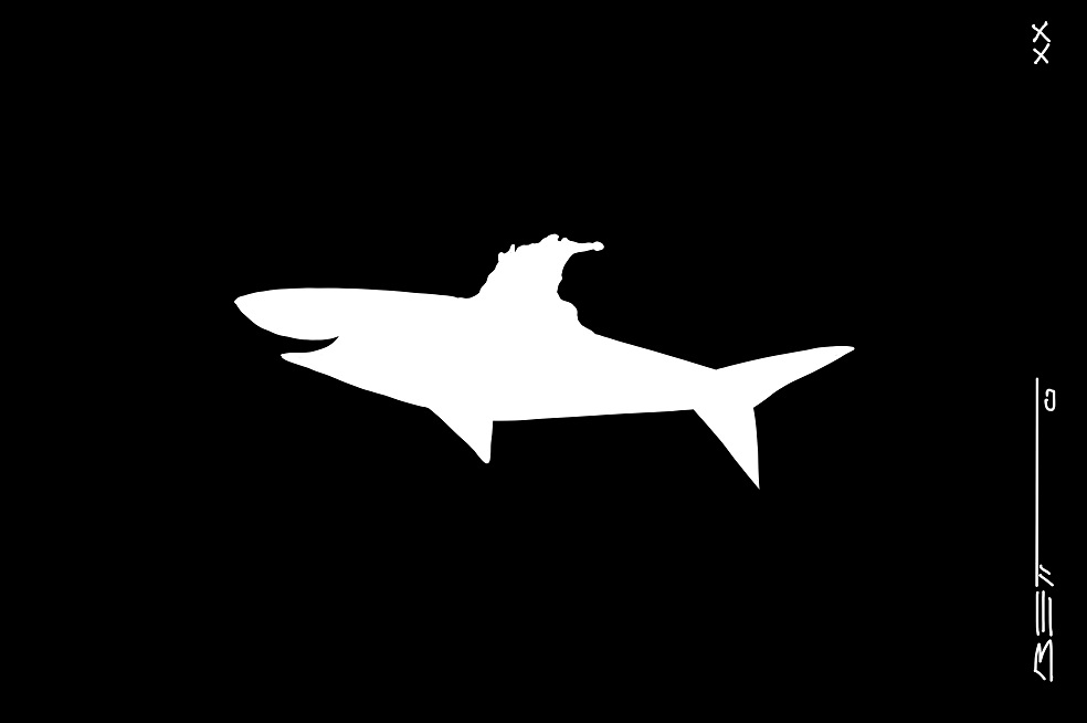 Pesca prohibida