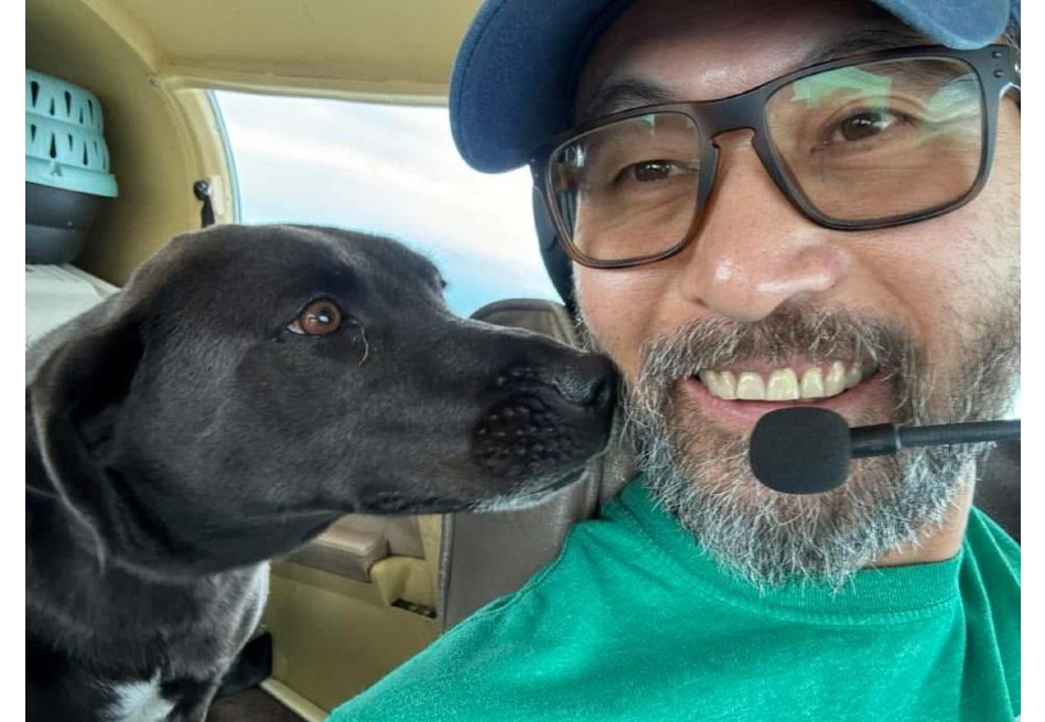 Piloto murió cuando rescataba perros de ser sacrificados: solo dos sobrevivieron