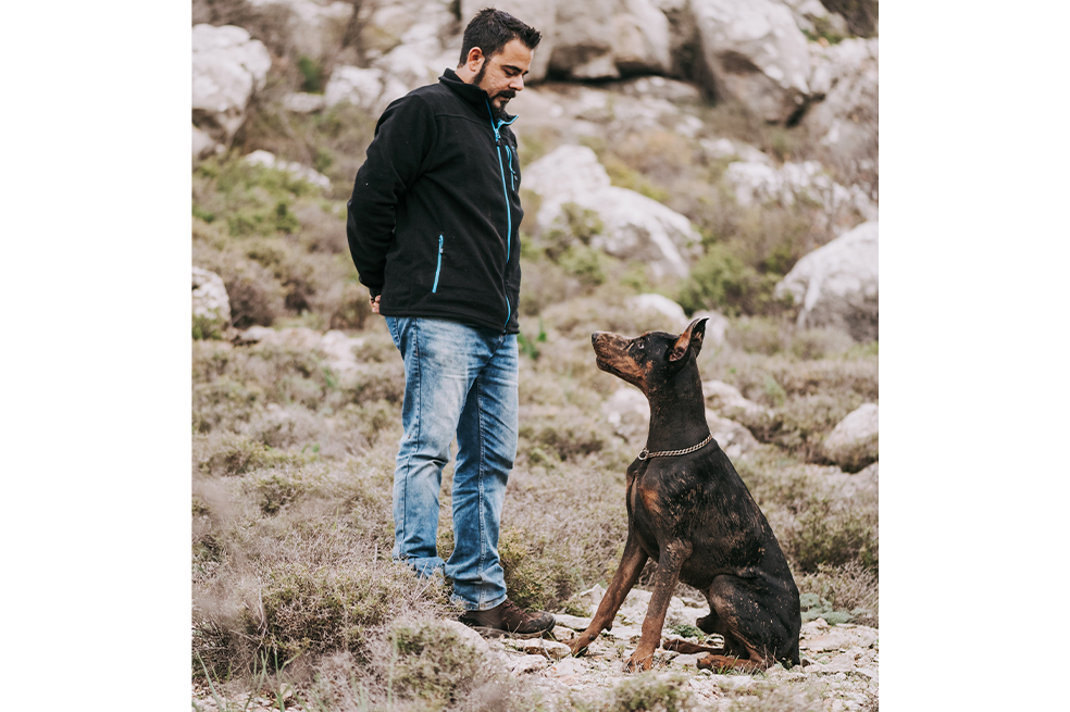 ¿Los perros son selectivos? Esta es la razón por la que ladran a algunas personas