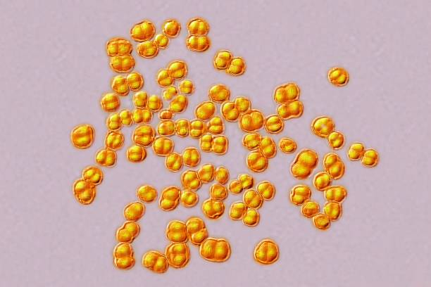La OMS lanza primeras guías para tratar la meningitis