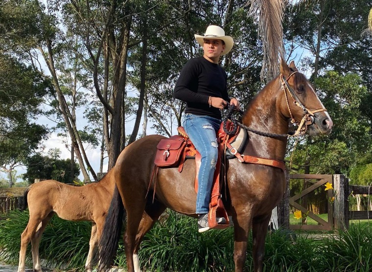 La historia de los caballos de Yeison Jiménez: raza, cuántos tenía y cómo se llamaban