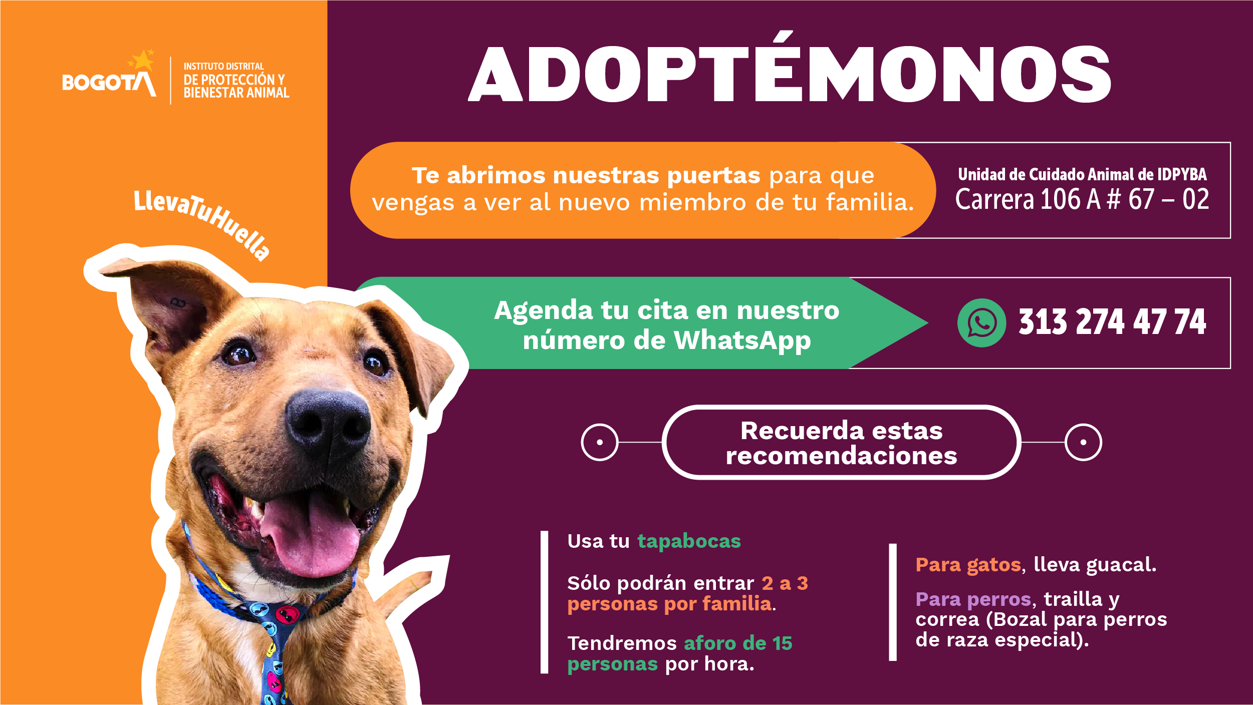 Adopción Bogotá