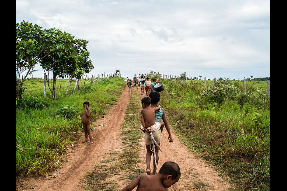 Los nukak maku son una etnia amenazada. Solo quedan 200 familias y necesitan regresar a su territorio ubicado en las selvas del Guaviare al sur de Colombia. / UNAL