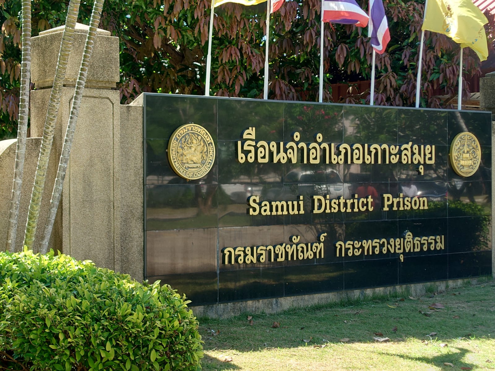 Así va el caso del asesinato de médico en Tailandia a manos de Daniel Sancho