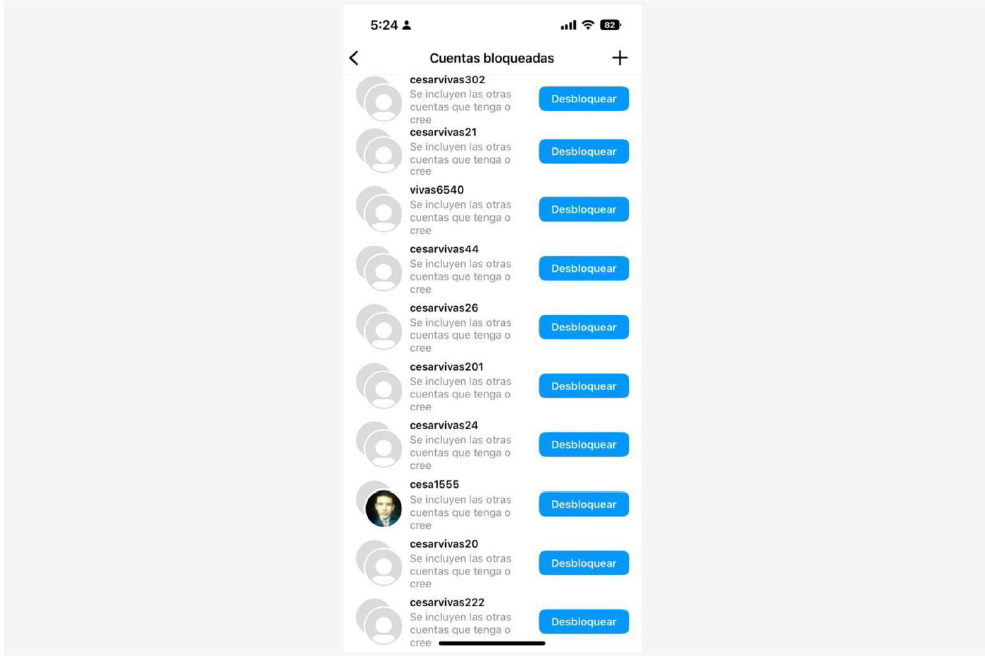 Listado de perfiles que creó Cesar Vivas en Instagram para acosar a Lina Rezk.