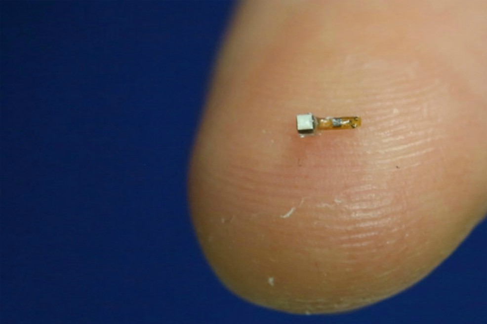 Estas diminutas partículas de silicio llamadas polvo neuronal están basadas en los mismos principios de los neurogranos. Son capaces de monitorizar en tiempo real músculos, órganos y nervios en las profundidades del cuerpo. / Agencia SINC - UC Berkeley 