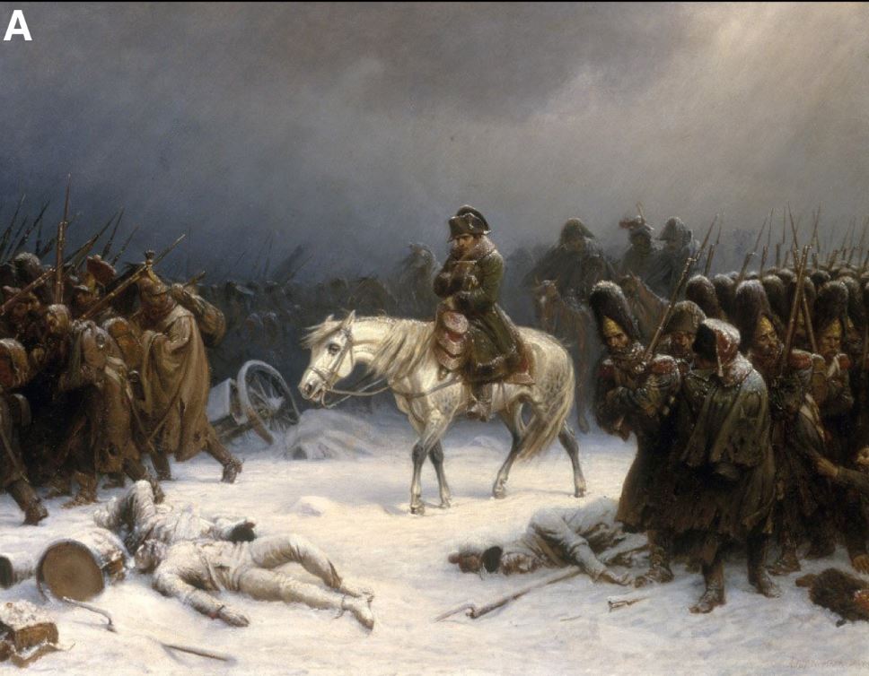 ADN revela las enfermedades que ayudaron a derrotar al ejército de Napoleón en 1812