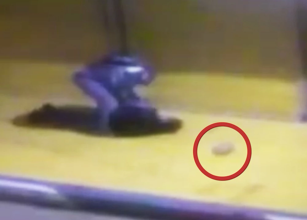 Con ladrillazo en la cabeza agredieron y hurtaron a hombre en el sur de Bogotá