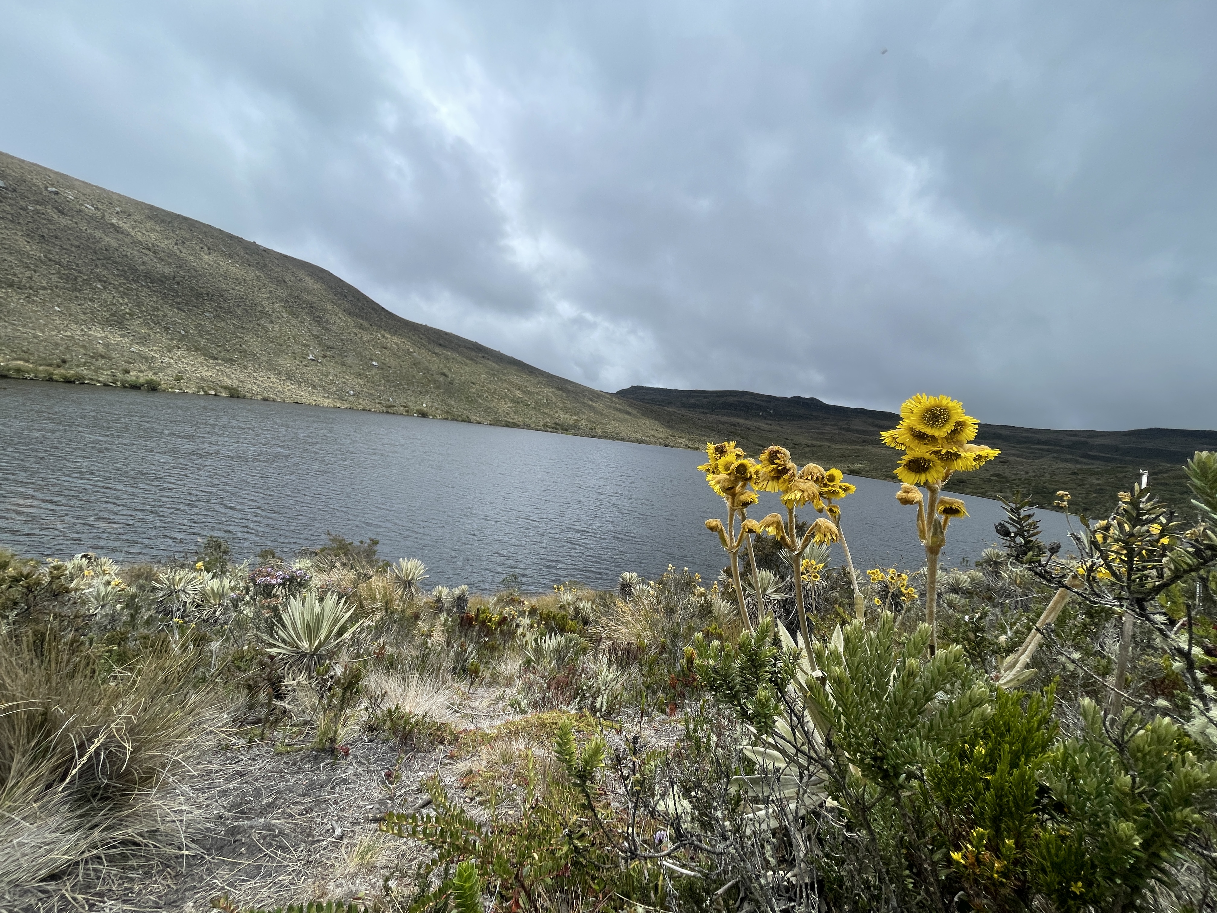 Nueva delimitación de Cruz Verde-Sumapaz: ¿Qué esperan las comunidades?