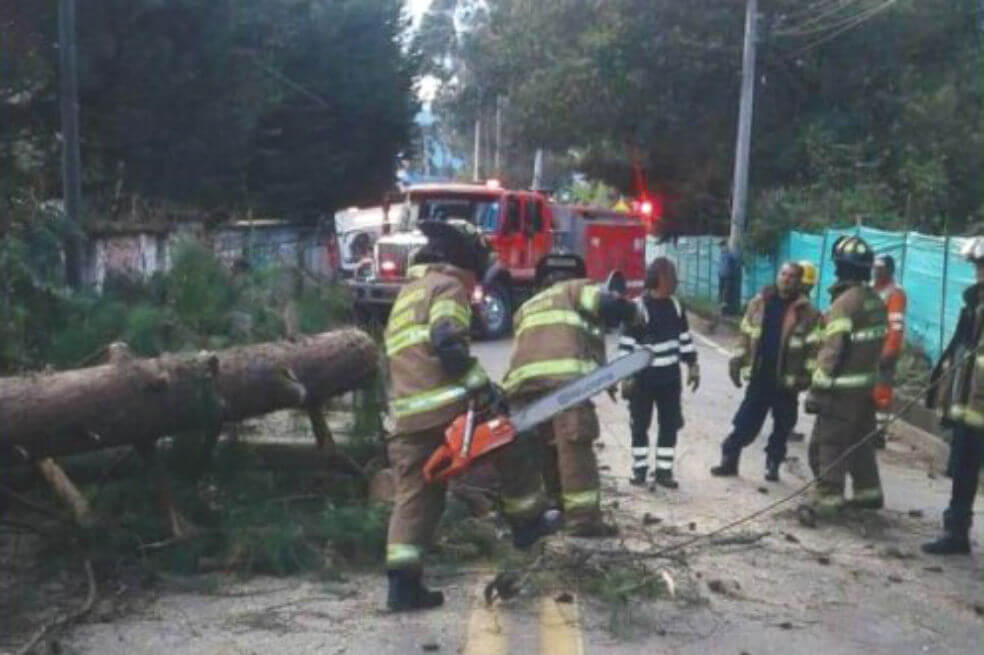 Cierran la calle 245 entre Autonorte y Séptima por caída de árbol 