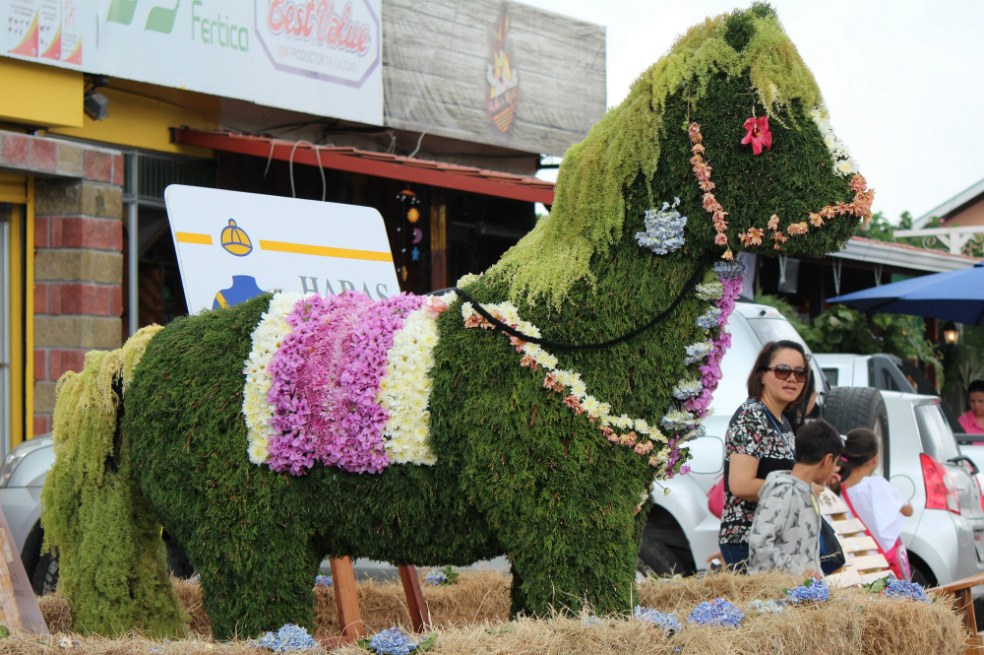 El pueblo en Panamá que deleitó con esculturas de animales hechas con flores