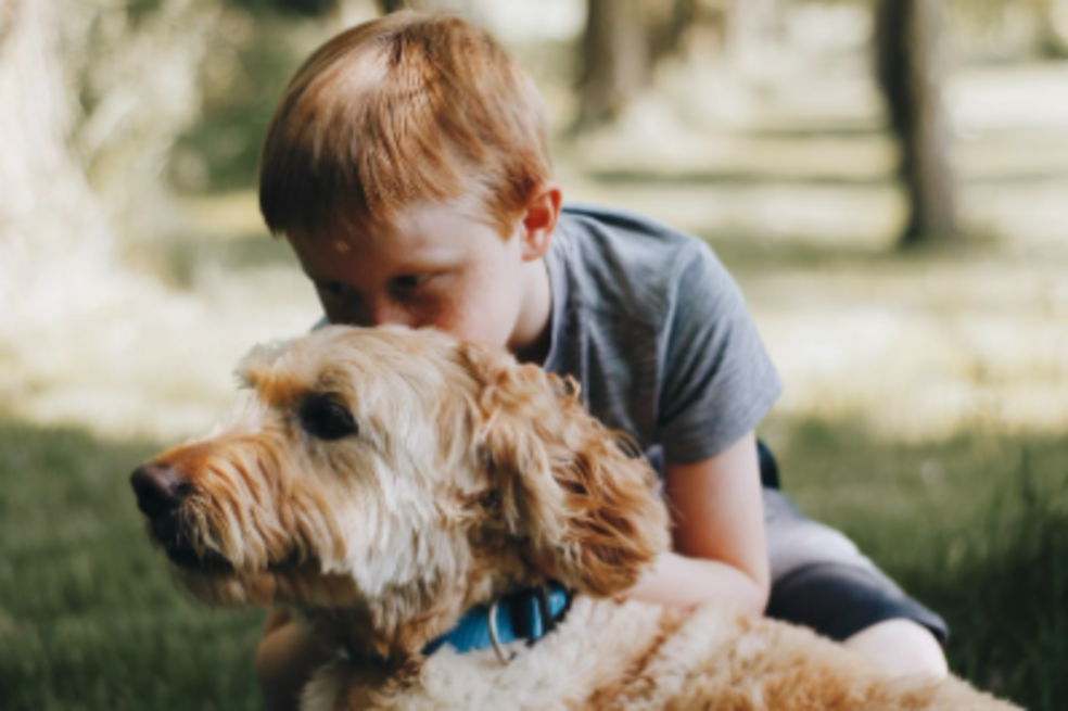 Mascotas y acoso escolar: la compañía en los momentos más oscuros
