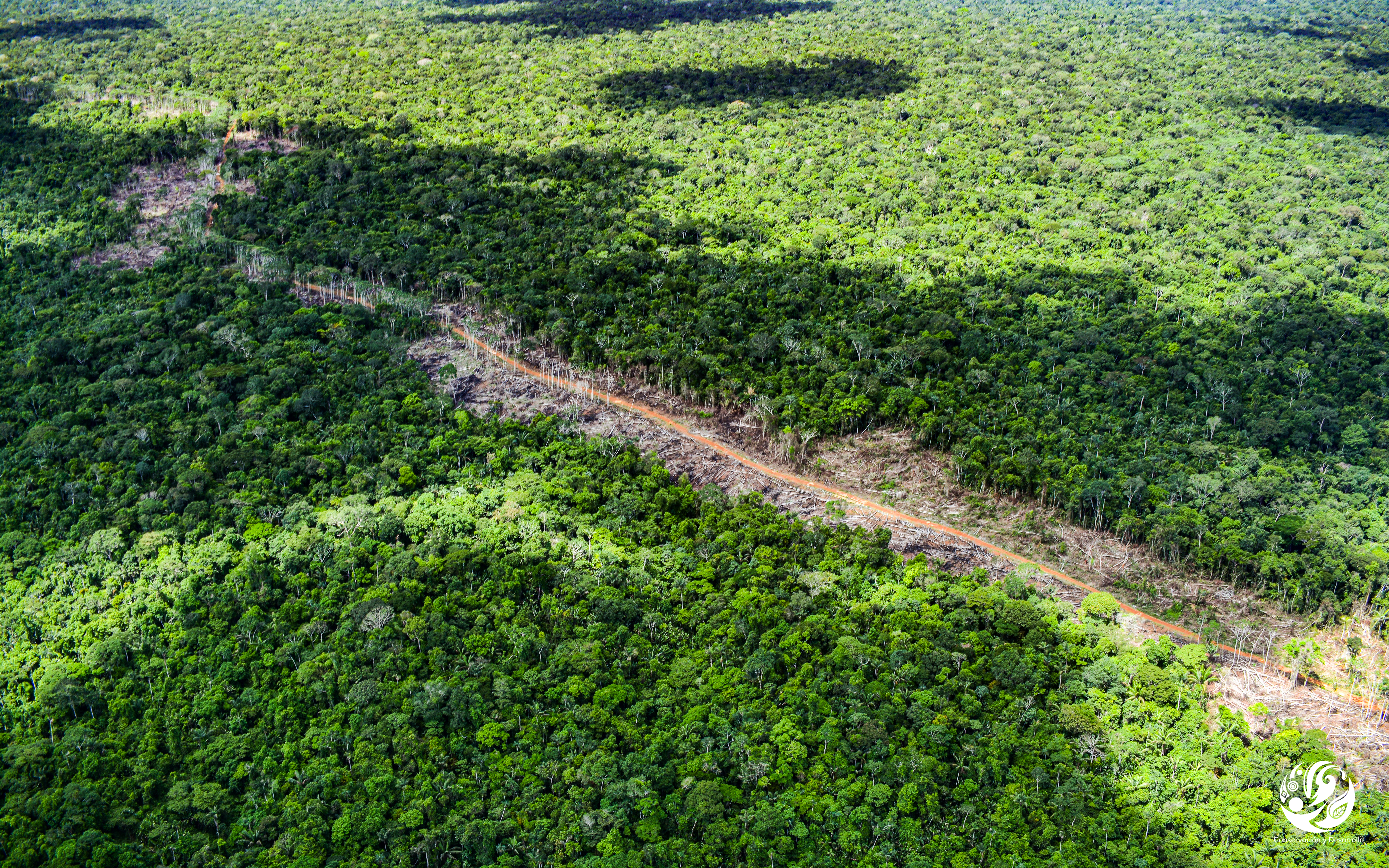 Así es como la mayor disidencia de las Farc maneja la deforestación en la Amazonia
