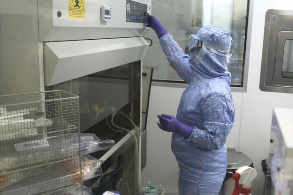 Crean células que producen insulina a partir del ADN de un diabético
