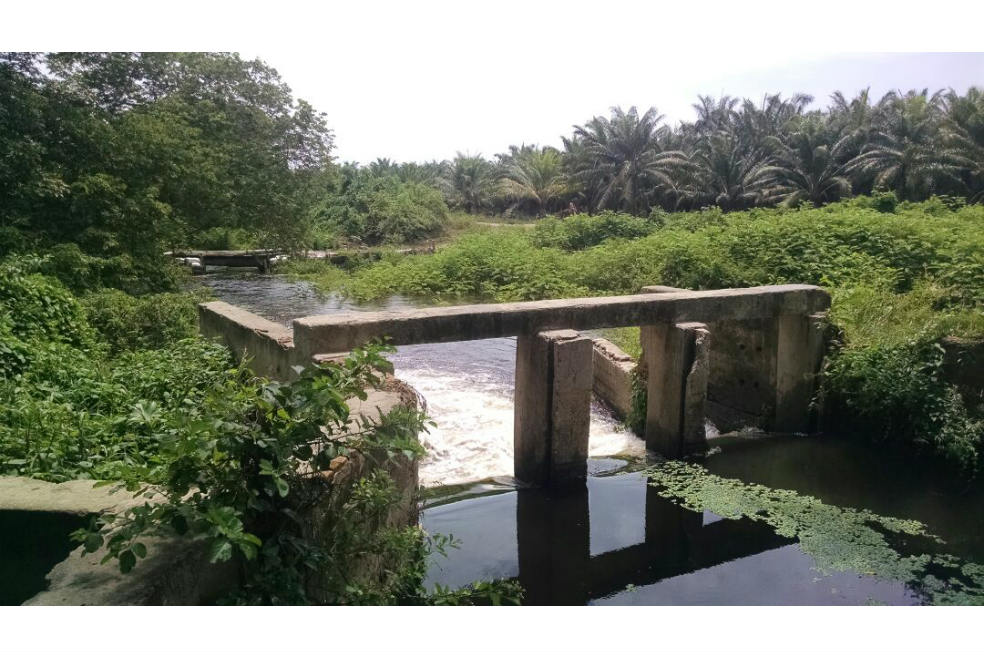Represas ilegales en la Ciénaga Grande