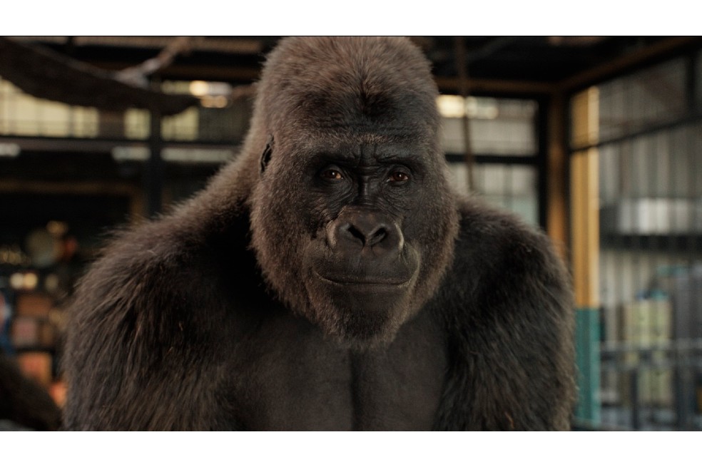 “The One and Only Ivan”, una nueva fábula animalista con el sello Disney