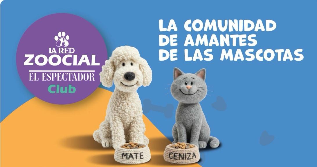 Conozca La Red Zoocial Club, la comunidad para los amantes de las mascotas de El Espectador