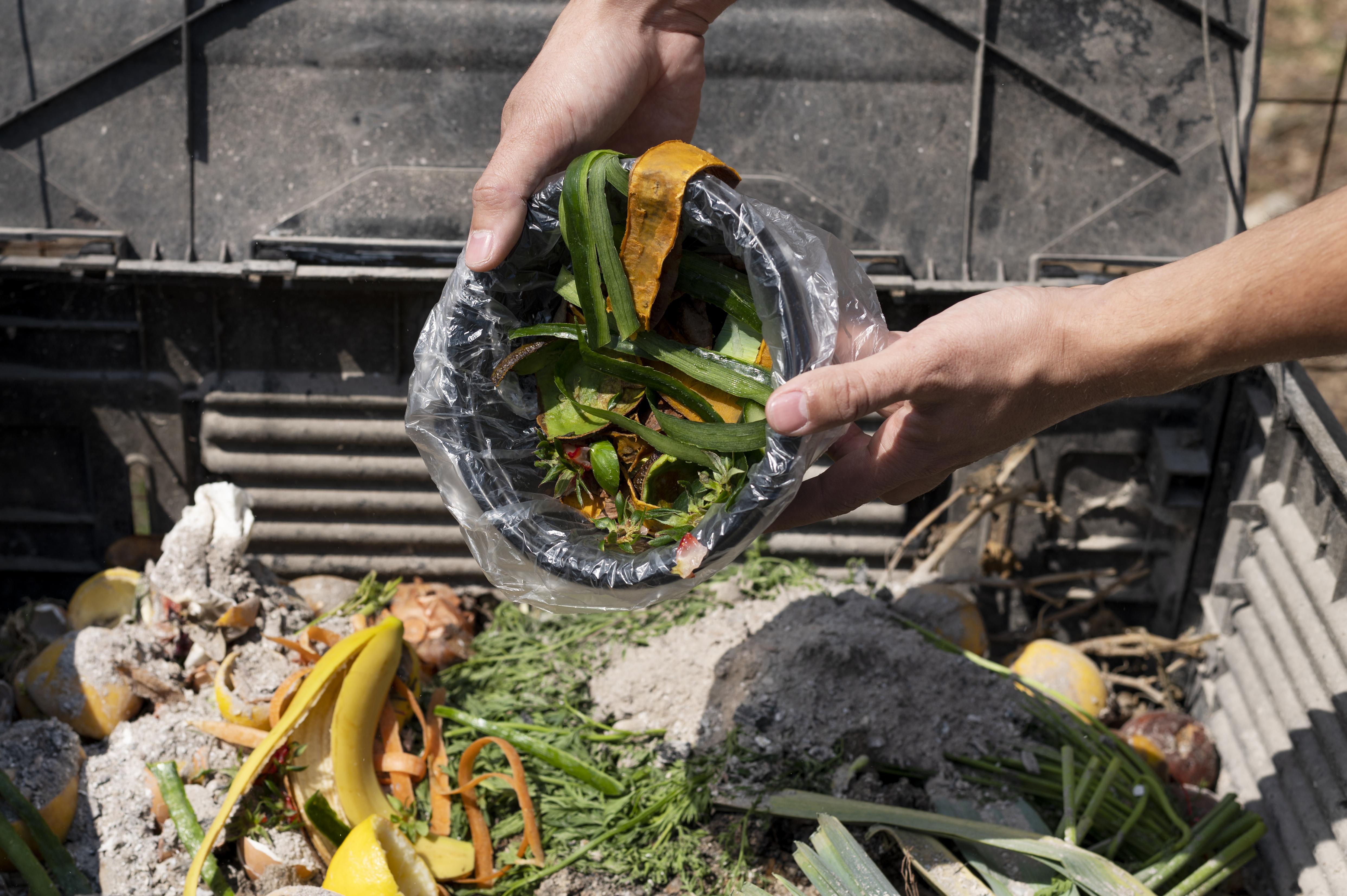 El desperdicio de alimentos contribuye hasta un 10% de las emisiones de gases contaminantes