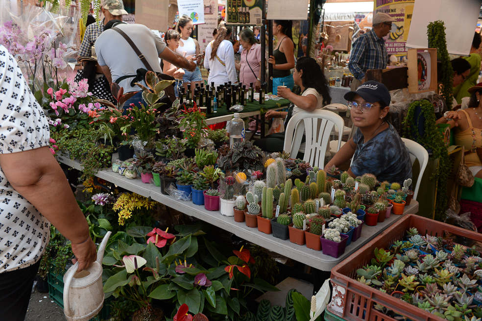 FERIA AGROINDUSTRIAL REINADO NACIONAL DE LA PANELA 2024