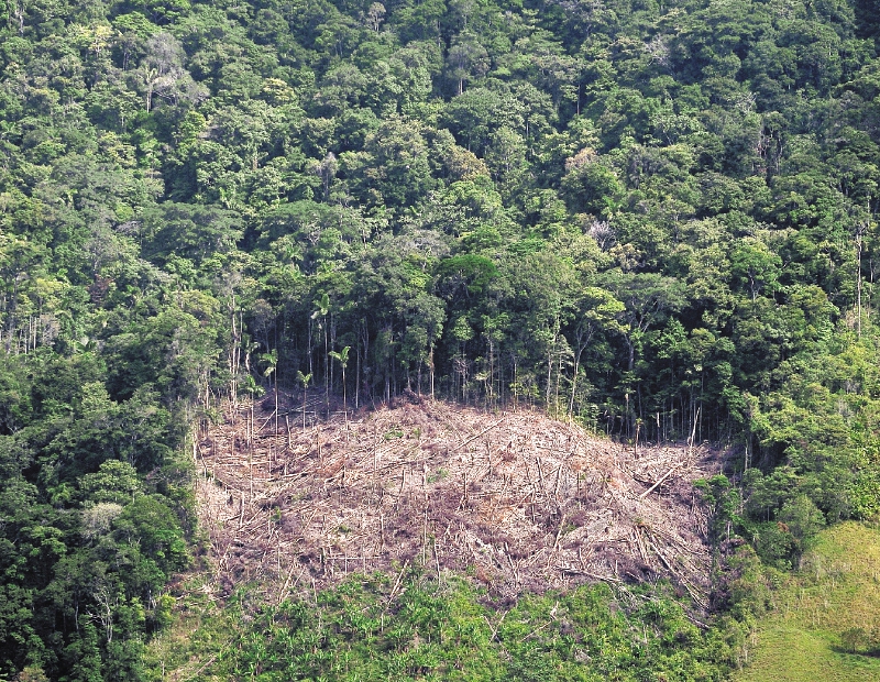 Compromisos climáticos de Colombia: ¿una meta que se puede lograr?