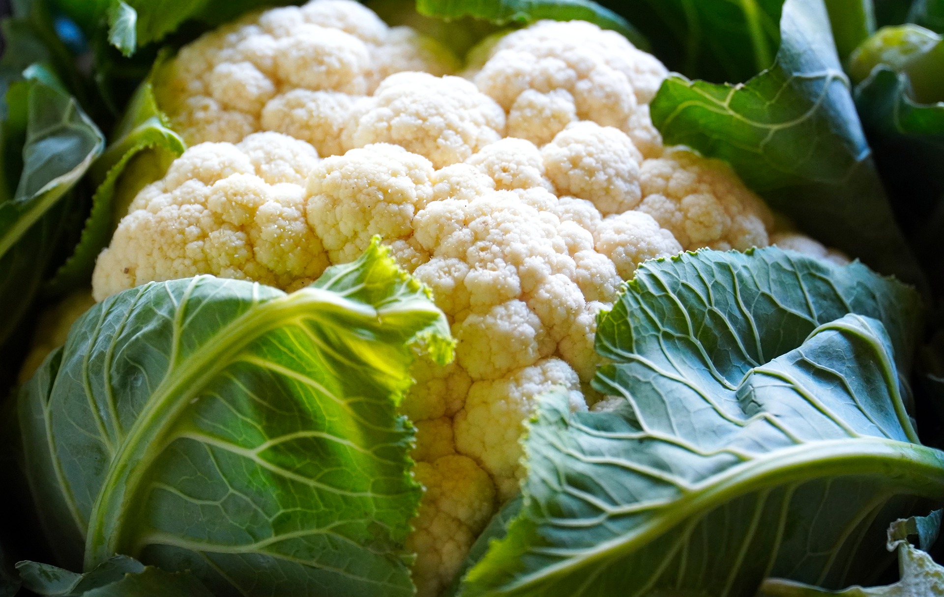 El coliflor aporta muchísimos beneficios y es antioxidante.