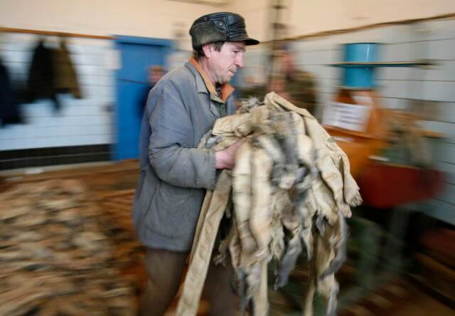 California prohibirá vender y fabricar productos de piel de animal a partir de 2023