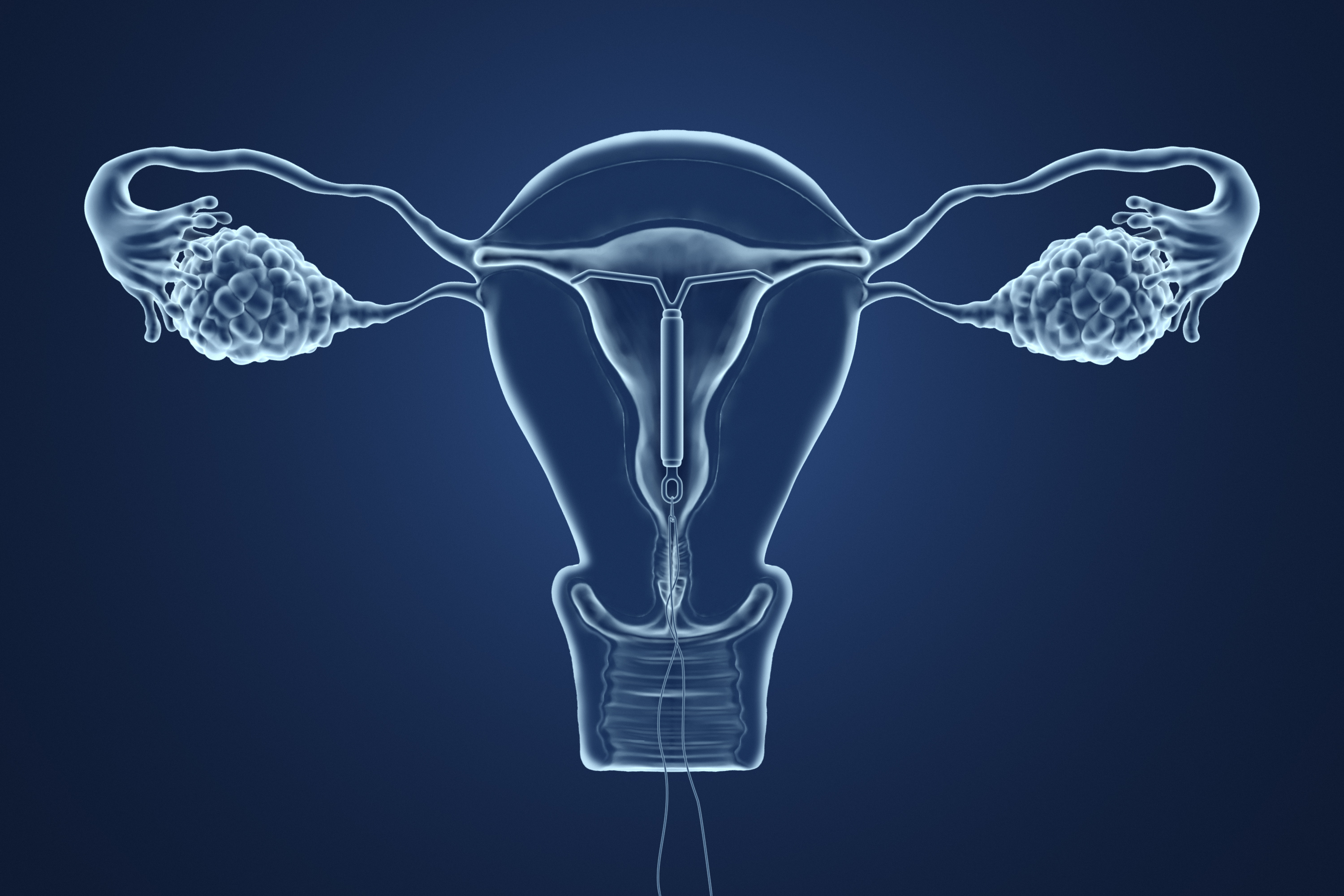 Crearon una vagina en un chip de silicona para probar tratamientos contra infecciones