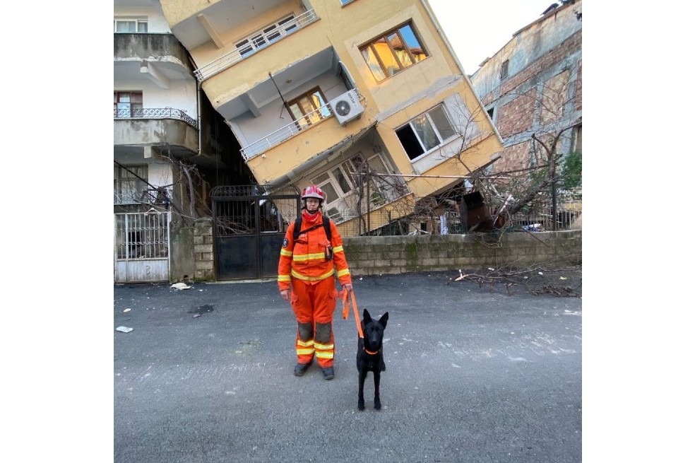 Vesper, un heroico perro de búsqueda y rescate, es el ganador del premio The Kennel Club Hero Dog Award en Crufts 2024.