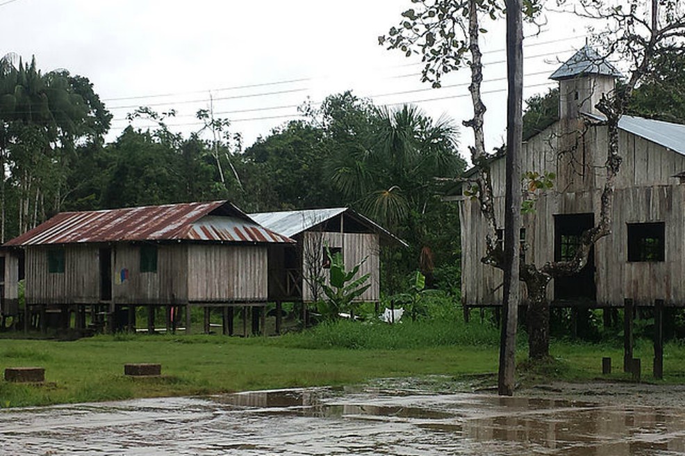Bacterias de tuberculosis en el Amazonas son diferentes a las del resto de Colombia