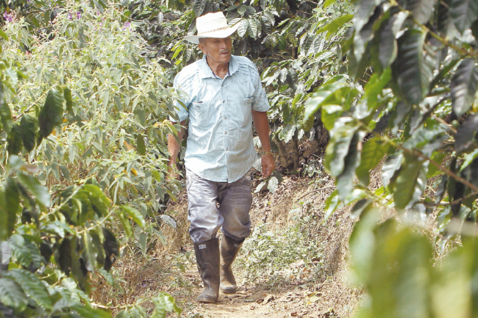 Se intensifica debate por proyecto de normativa para las tierras en el posconflicto