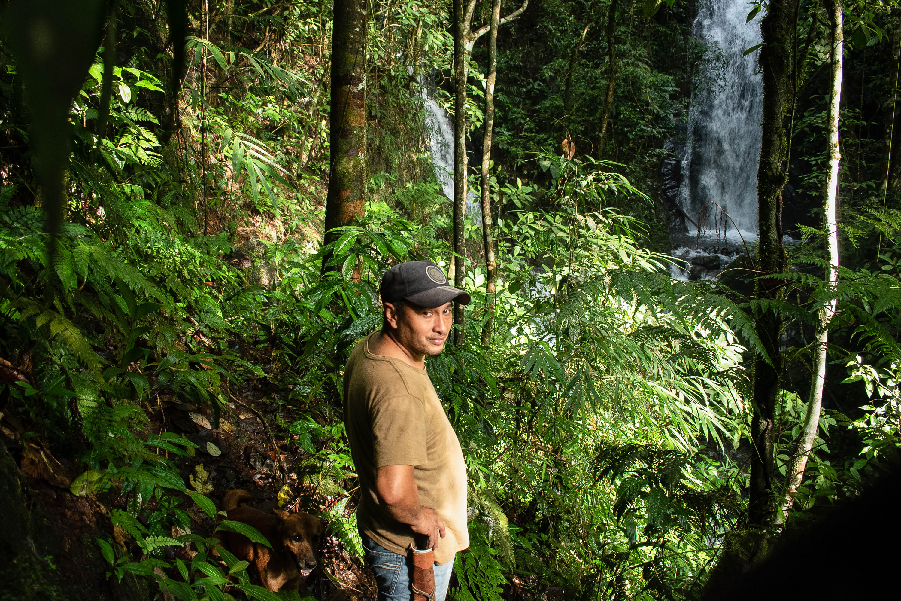 Reforestación Valle del Cauca