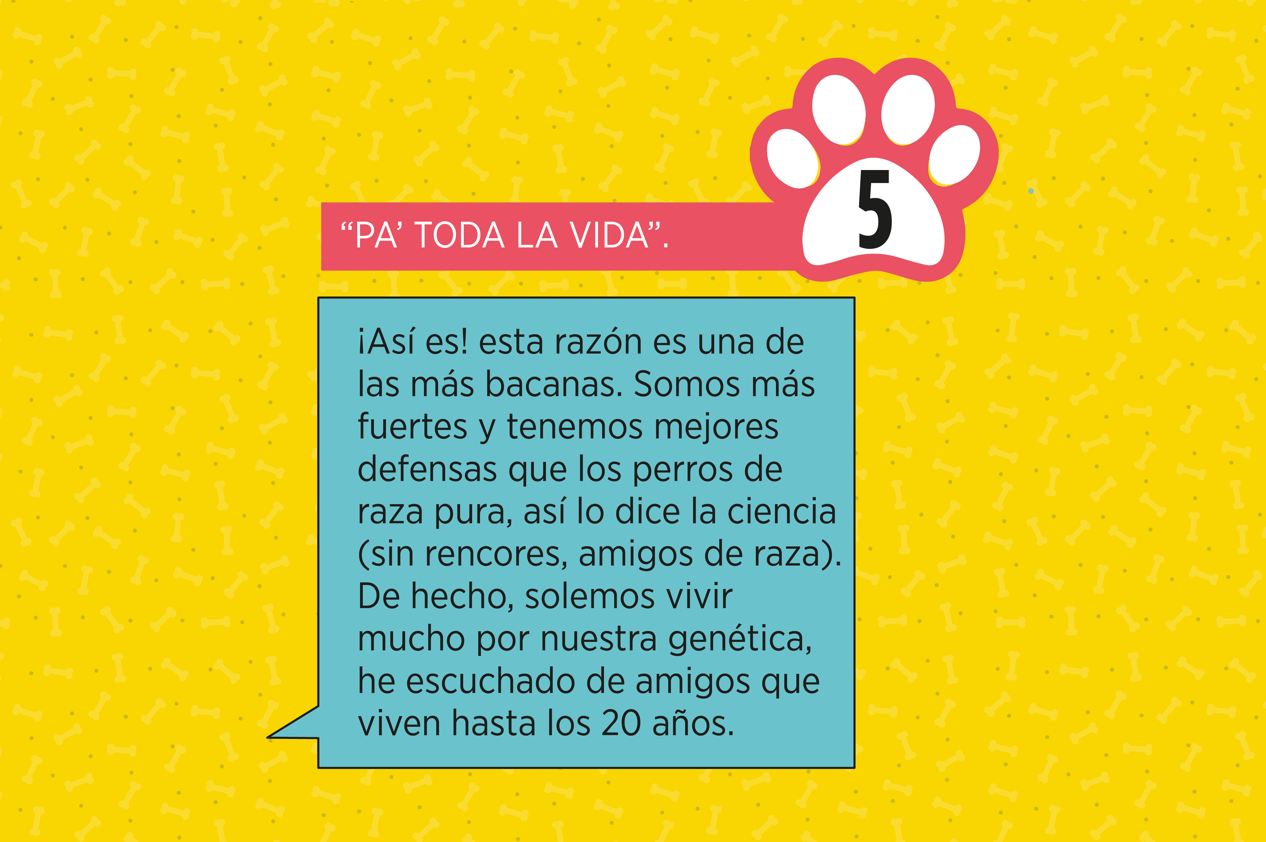Hay perros que han vivido hasta 20 años.