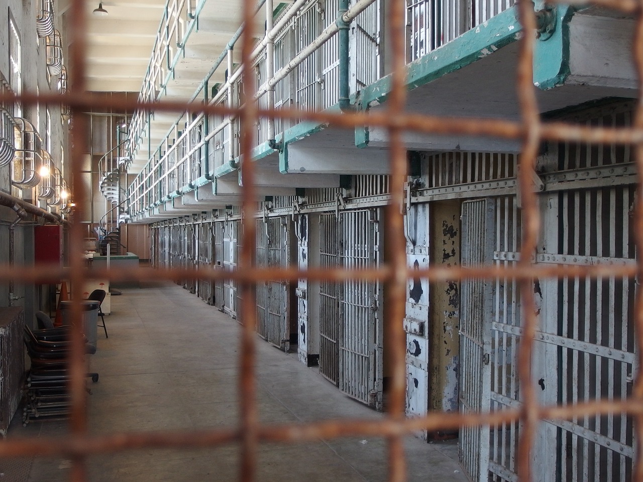 Los animales monitorean la estructura penitenciaria las 24 horas del día.