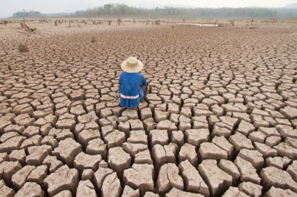 La COP24 decide si da un paso adelante en la lucha contra el cambio climático