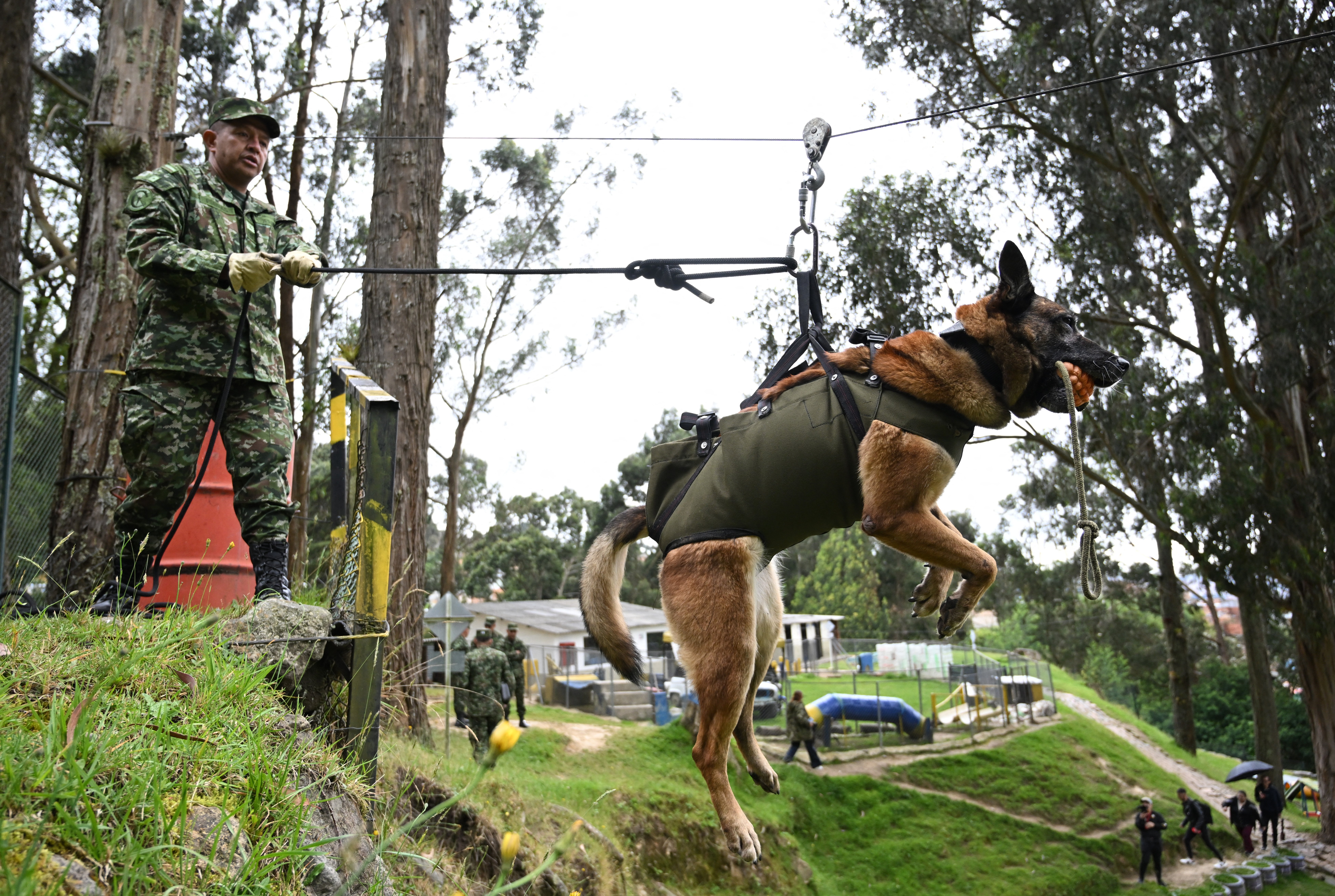 centro de adiestramiento canino del Ejército de Colombia