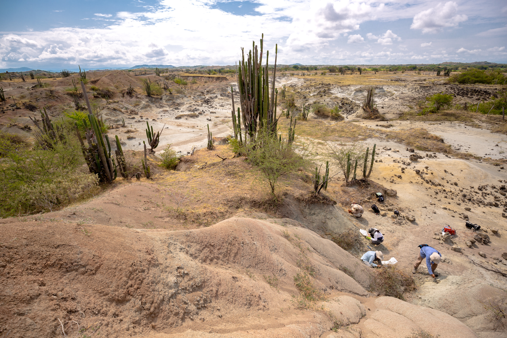 El desierto de La Tatacoa, en el Huila, es un lugar que ha sido explorado durante los últimos 100 años por paleontólogos de diferentes partes del mundo.