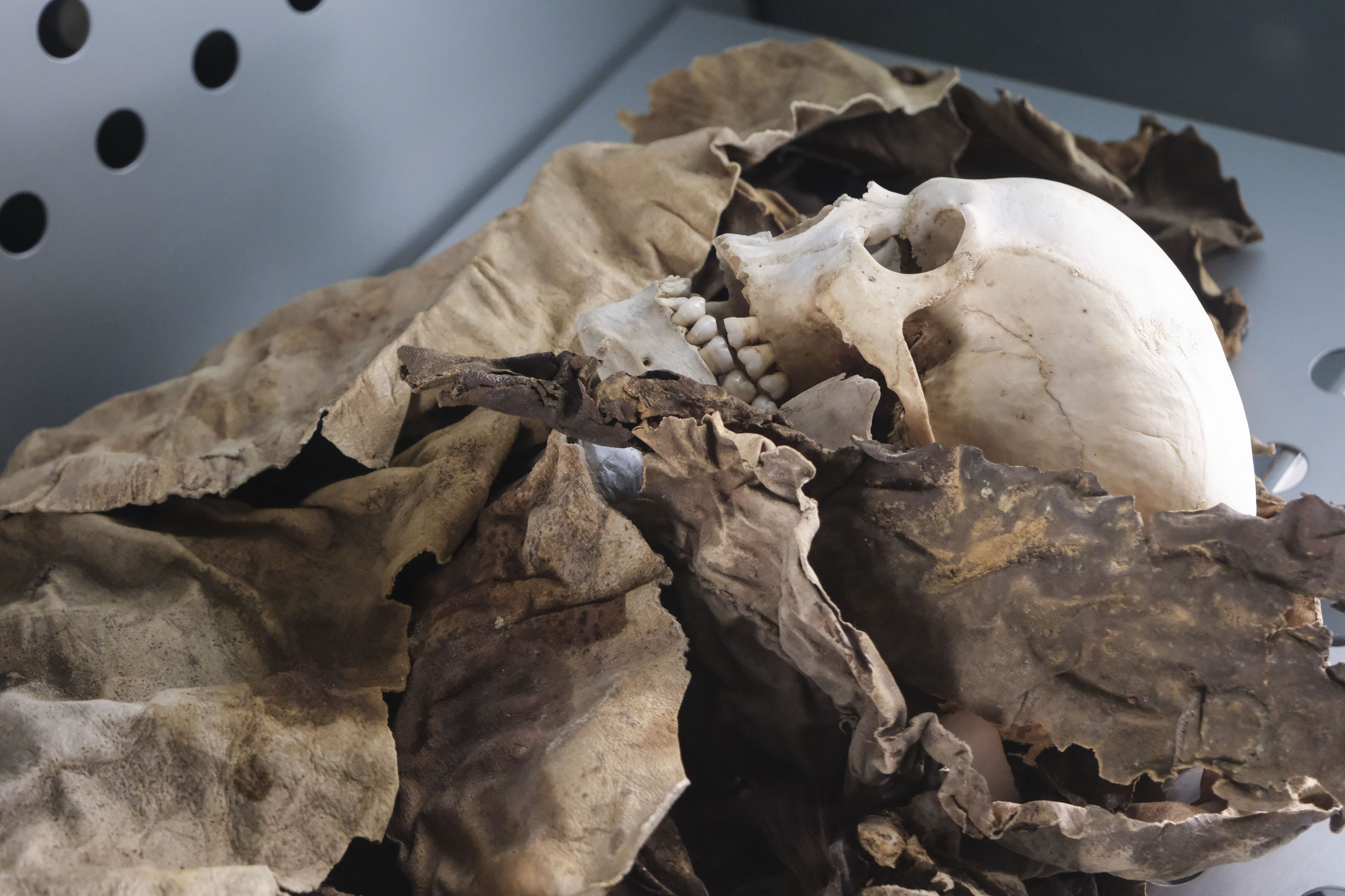 Descubren una tumba de 4.600 años que podría reescribir la cronología de la Edad de Bronce