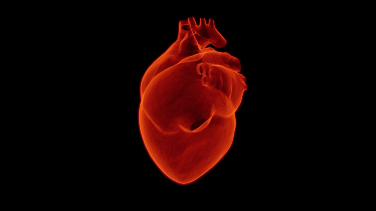 salud cardiovascular
