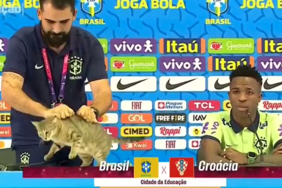 El gato que cambió la historia del fútbol brasilero: ¿maldición o coincidencia?