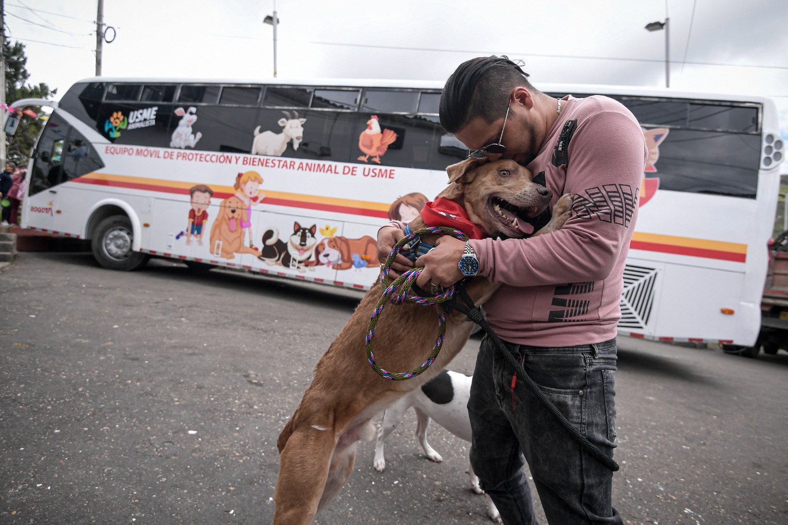 El bus que recorre el sur de Bogotá atendiendo a los animales en condición de calle